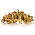 Mushroom&More Donuk Sarıkız Mantarı - 500 gr