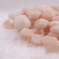 Japon Deniz Tarağı - 250 g