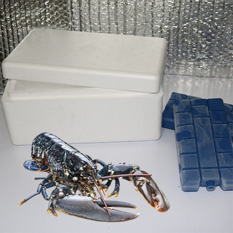 Canlı Istakoz - 1 kg